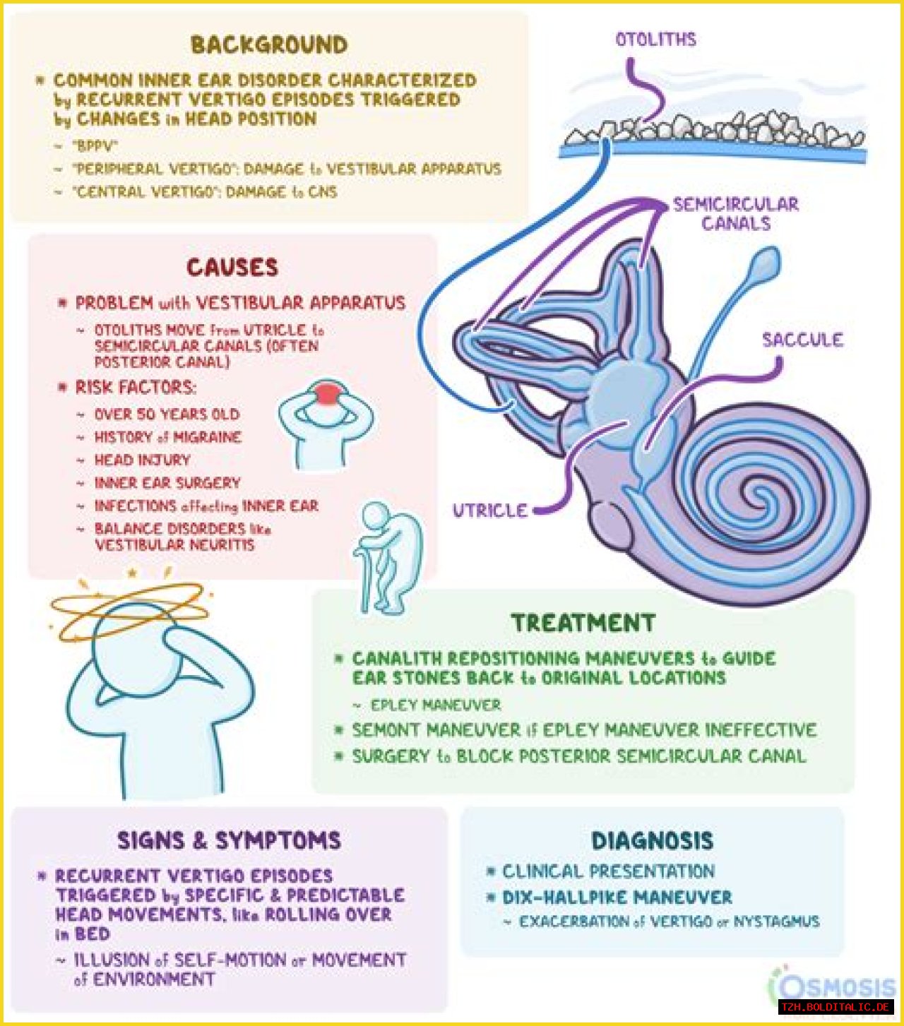 Does Flying Cause Vertigo? Uncovering The Link